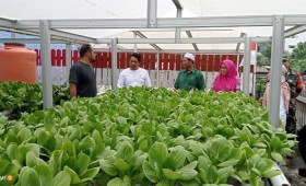 Penilaian Probebaya Award 2024 oleh Tim Penilai Kecamatan Samarinda Utara, Lurah, Kasi Ekobang, Kasi Kesra, Ketua RT 18, Warga RT 18, Forum Ketua RT Unmul, Babinsa, Bhabinkamtibmas